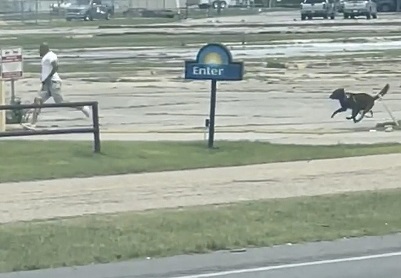 They Need a Better Dog! Man Outruns K9 During High Speed Chase in Lafayette