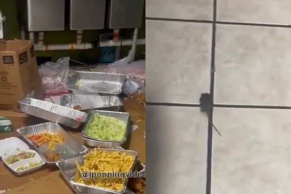 Customer Finds the Restaurant Kitchen to Be Filthy and Observes a Mouse on the Kitchen Floor