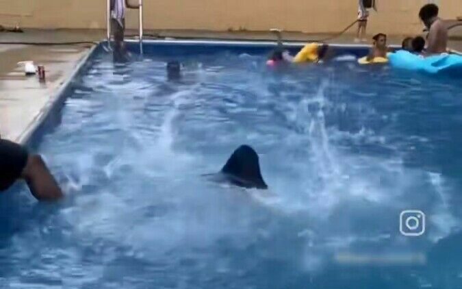Unsuspecting Partygoer Nearly Drowns in Unexpectedly Deep Pool