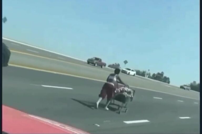 This Woman Was Seen Confidently Pushing a Shopping Cart Down the Street, Fully Convinced She Was Behind the Wheel of a Car