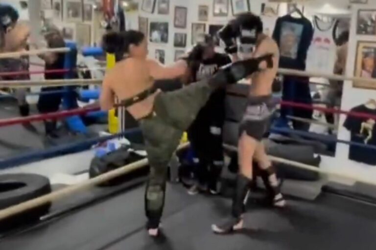 Drake’s BM Sophie: Fighting Skills Unleashed!