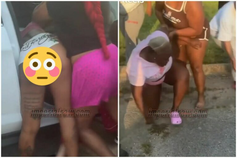 When Miss Violet Bonnet Faced the Unremovable Rings: The Wildest Street Fight the Town Ever Saw!