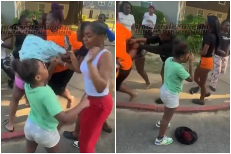 Breaking News: When Kids and Grown-Ups Think Fighting Is a Good Idea (Spoiler: It Isn’t)