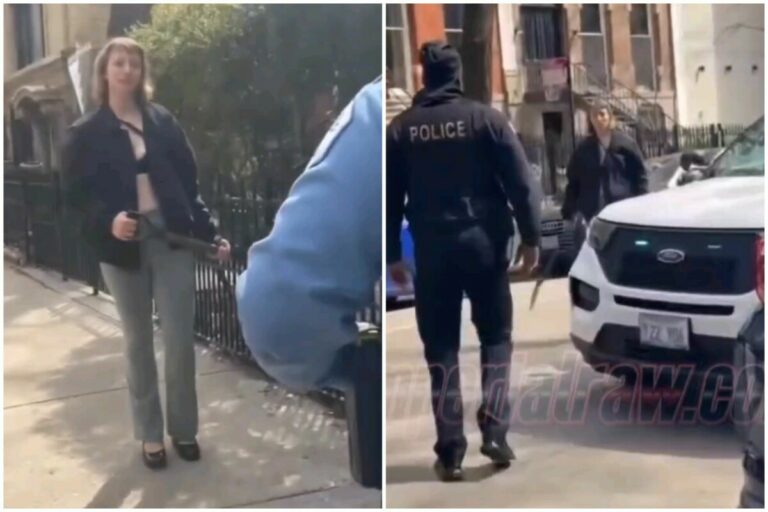 Shovel Woman vs. The Police: Chicago Gets a New Kind of Super Smash!