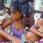 “That’s My Daughter!” 😭 Woman Lets Her Dog Lick Her Ice Cream Cone… Then Goes Right Back To Eating It! 🍦🐶